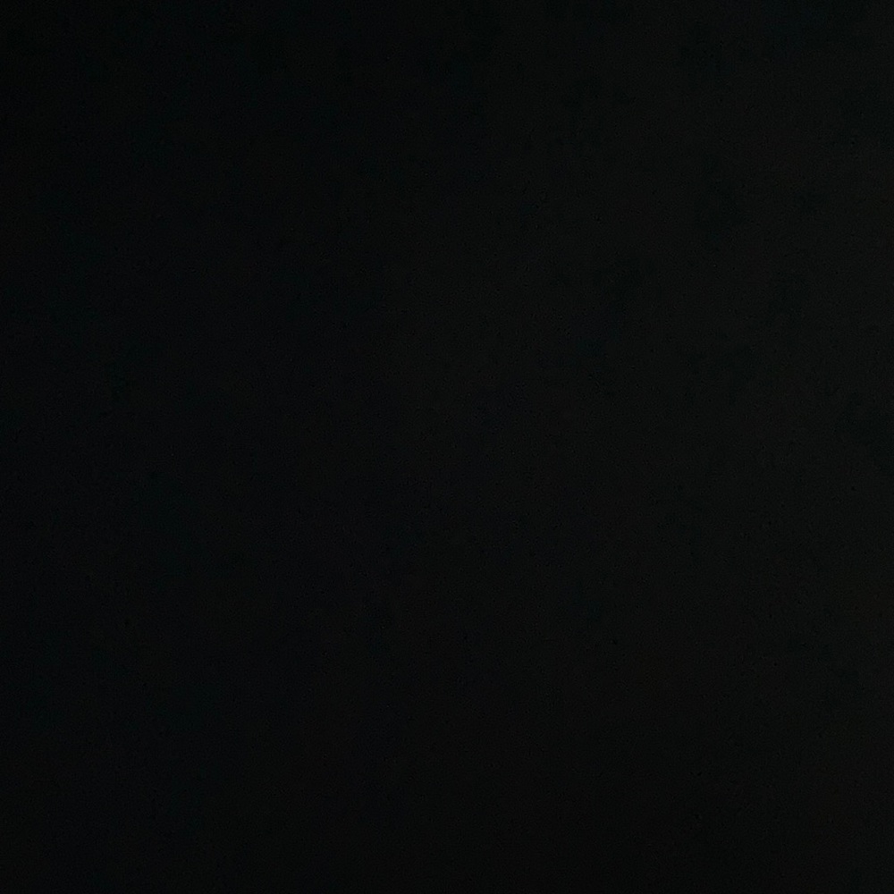 Meet your Posher, Rose